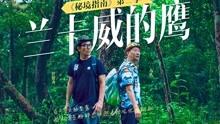 逗小猴开心系列174