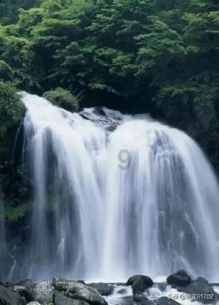 农民放牛时发现古墓,挖出一只“怪兽”,神似《山海经》中的异兽“蛊雕”